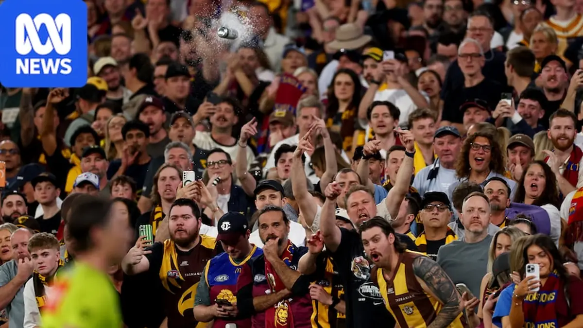 Umpire felt 'threatened' by player, fan abuse after unruly AFL finale